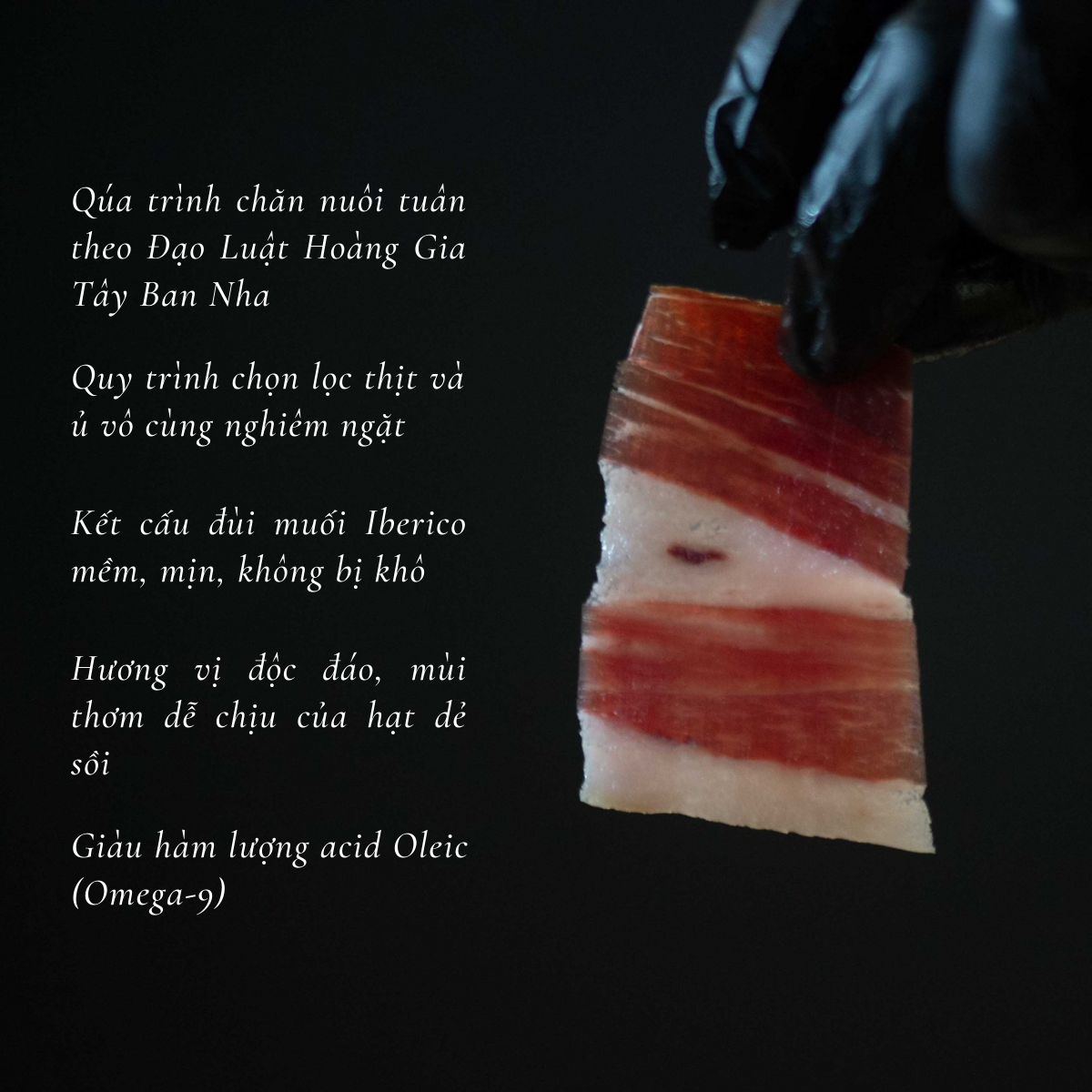 diem noi bat dui heo muoi iberico